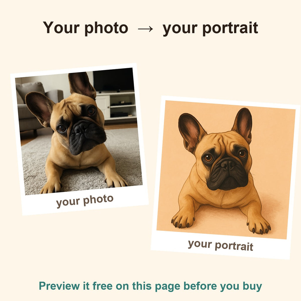 Your pet photo turned into an illustrated portrait