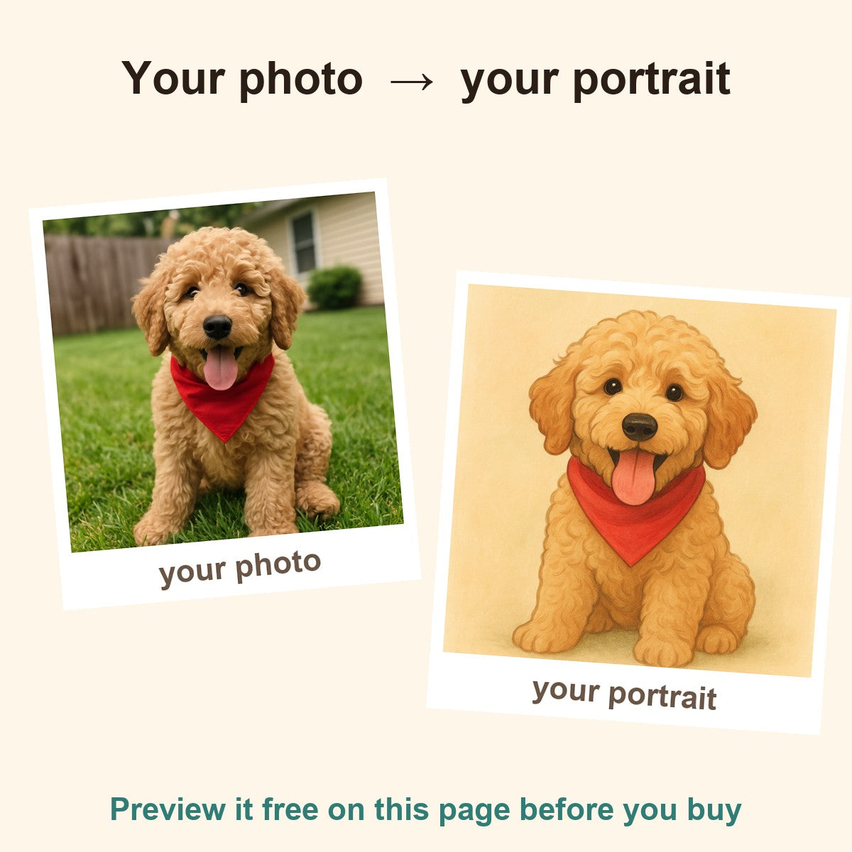 Your pet photo turned into an illustrated portrait